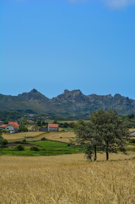 Vila Casa Fonte Fria Pitoes das Junias Exteriér fotografie
